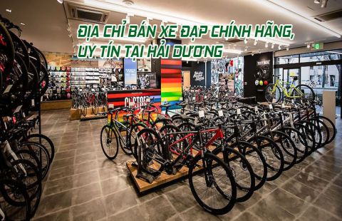 Địa chỉ bán xe đạp chính hãng, uy tín tại Hải Dương